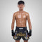 TUFF Muay Thai Boxing Shorts New Retro Style "Black Twin Tiger With Gold Text"